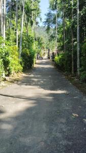 Tribe Riverbank Campsite