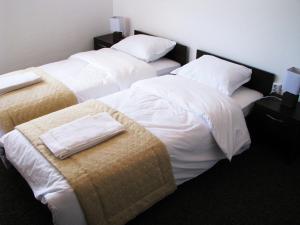 Double or Twin Room room in Park Hotel Eagle Stone