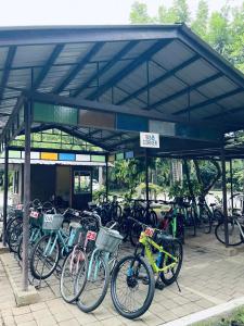 Club Balai Isabel - Audrey-Adam Staycation Balai