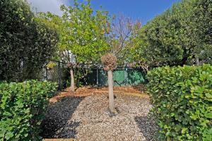 Napier Escape - stylish villa close to the sea