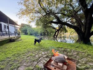 Honeypot Fly Fishing Eco Chalet