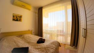 Williams apartments - sixth large apartment