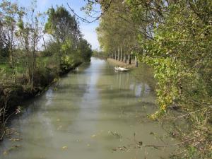 Gîte Nénuphar - Gîtes Au Bas Marais