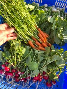 稲花 TŌKA Stay&Retreat Sauna,Guided Tours & Farm Life with Animals