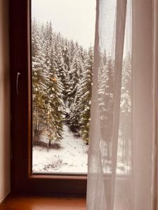 Studio Harmony, Pamporovo