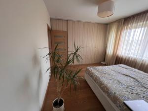 Naujos statybos trijų kambarių butas Dragūnų gatvėje