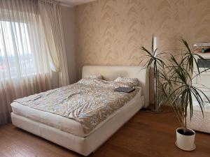 Naujos statybos trijų kambarių butas Dragūnų gatvėje