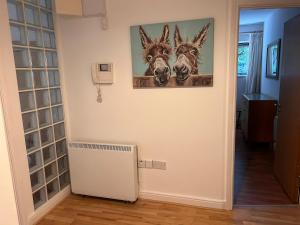 2 Bed Apartment in Bray