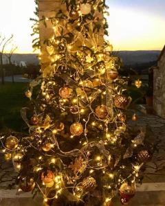 Agriturismo Poggio del Bolognino