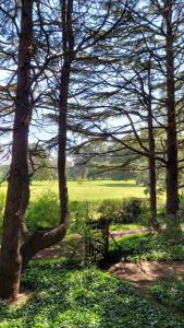 Posta Chimango, Cabañas frente al Golf Los Acantilados