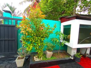 Tharusha Homestay Mirissa