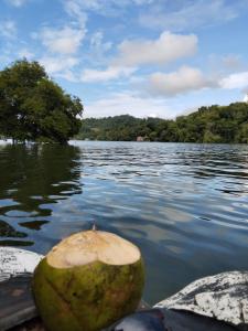 casa colibri cañón de rio dulce