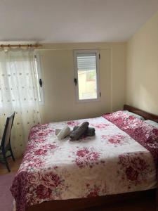 Gazi’s Apartament for Rent