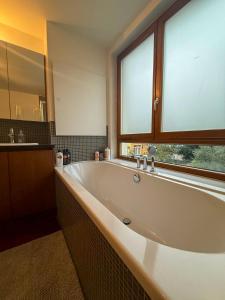 Un paradis au coeur de Bruxelles