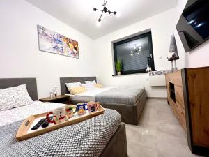 Domki Całoroczne PREMIUM Zator ENERGYLANDIA