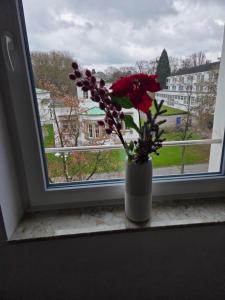 Kurparkloft, Traum auf 100m2