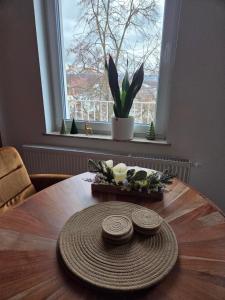 Kurparkloft, Traum auf 100m2