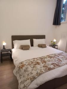 Elegant and modern two-room apartment with equipped kitchen