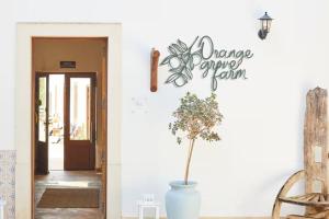 Rustic charm for groups at Orange Grove Farm
