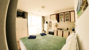 Williams apartments - second cozy studio