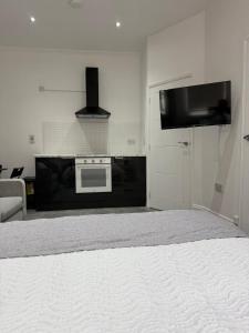 Modern Luxe Studio Flat