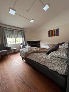 Platinum House Carrasco