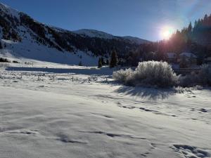 Ferienwohnungen Zwergbirke