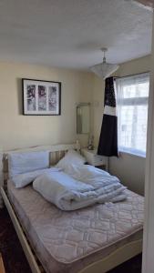 LingaLonga 165 Sundowner