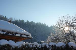 Apartamenty Agroturystyczne Papiernia Grill, Sauna & Jacuzzi