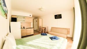 Williams apartments - fourth pretty studio