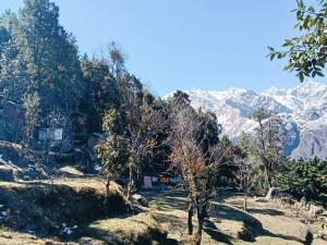 TTN - The Trekkers Nest