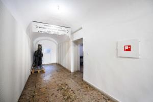 Cute Apartment in the heart of Old Town