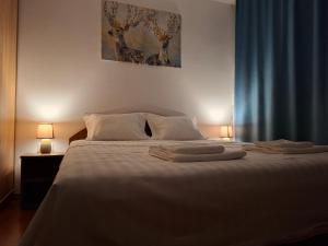 Parliament View 2BR Heart of Bucharest Free minibar