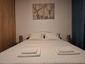 Parliament View 2BR Heart of Bucharest Free minibar