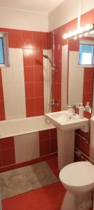 Apartament 2 Rooms Craiova City Christmas