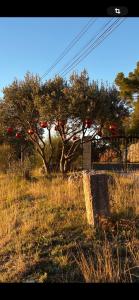 Cottage Villa Peylon