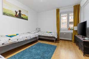 City center 2 Bedroom AC Apartment