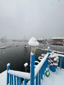 Houseboat Wild Rose