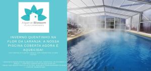 Apartamentos Flor da Laranja, Albufeira by AlgarveBlossom