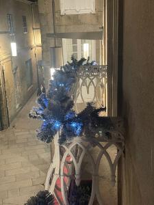 Pontevedra centro alojamiento acogedor