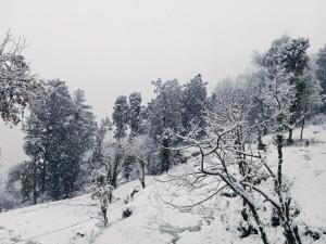 TTN - The Trekkers Nest