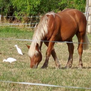 Chambre dhôtes Les Loges