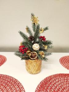 Apartament Górska Przystań - Willa Marysin - niedaleko Termy Bukovina oraz stoki narciarskie