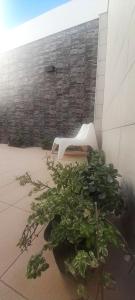 Saudade Peniche Apartment