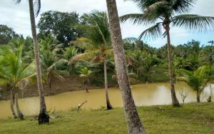 Casa Coqueville - Charmosa, tranquila e cercada pela natureza em Itacaré