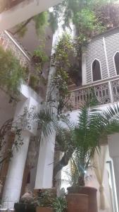 Riad Namssaouia