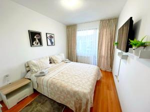 VIP Apartment Belvedere Club