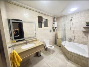 الجيزه الدقي