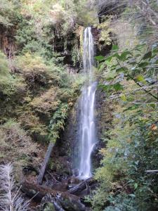 10 hectáreas de montaña con cabaña, senderos, saltos de agua y más
