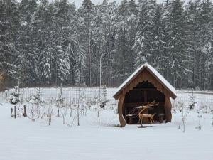 Agrosturystyka Leśna 21
